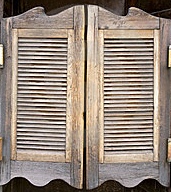 Figure 2: Saloon Doors Saloon Doors