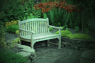 alonzo_designshowcase3_green