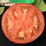 tomato tomato