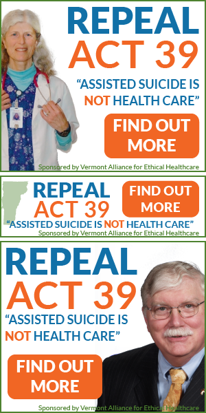 VT Digger ads Lynne, VTand Pete stacked