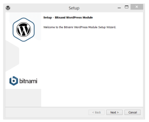 Bitnami's WordPress Setup page