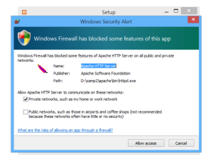 Windows Firewall Security Alert