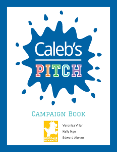 Campaign book Campaign book